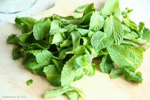 تصویر 3 از خرید و فروش سبزی نعناع خشک صادراتی با حاشیه سود بالا